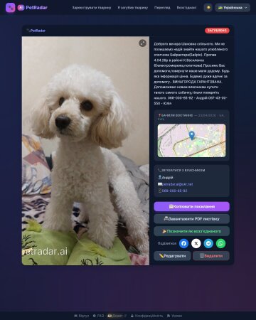 Как работает PetRadar (затерявшаяся карточка-флаер животного): фото Treads