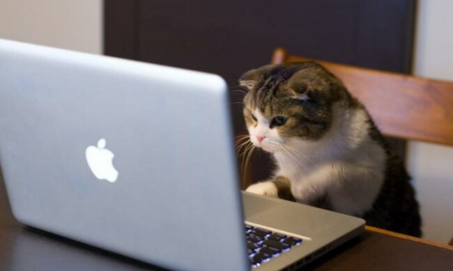 Больше прозрачности: Украина присоединилась к удобному сервису