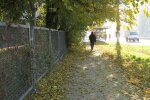 Геть куртки і черевики: в Запоріжжі 19 жовтня синоптики пообіцяли сонечко, заряджайтеся теплом