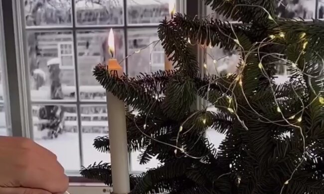 Елка, Новый год, фото: Знай.ua