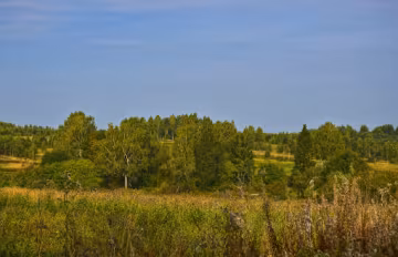 Погода, фото з відкритих джерел