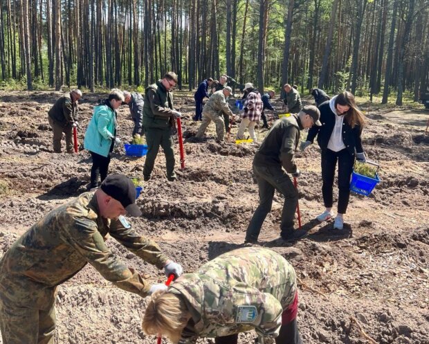 Коллектив Госэкоинспекции Полесского округа присоединился к посадке леса