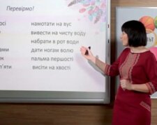 Львовские учителя рискуют остаться в пустых классах - что ждет школы Галичины с 1 сентября