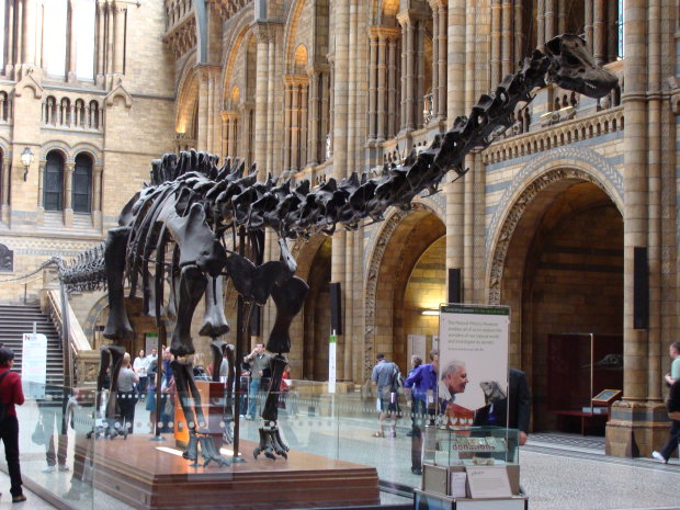 Кістяк динозавра