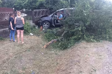 На Закарпатті обдовбаний адвокат вбив дитину, дика історія поставила на вуха всю Україну