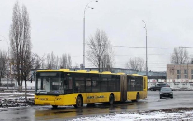Интимная поездка: киевляне застукали водителя маршрутки за чем-то интересным