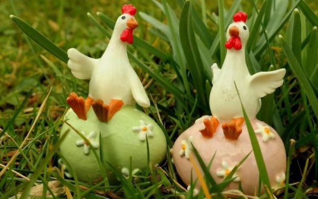 Вчені впоралися з загадкою про яйце та курку