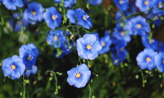 16 вересня: чим запам'ятався цей день