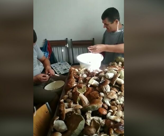 Закарпатцы-заробитчане похвастались грибами, фото из Фейсбук