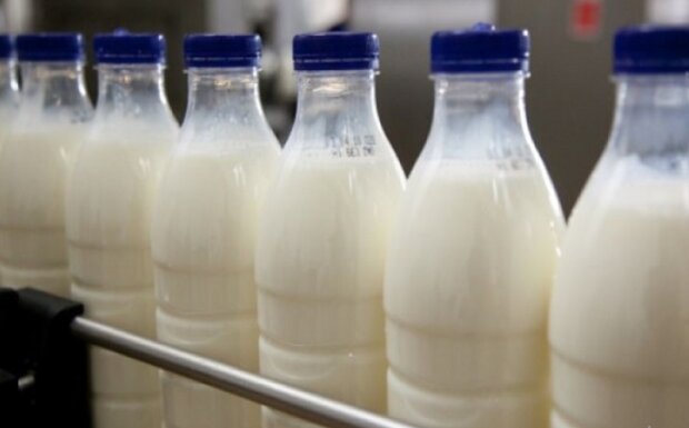 Цены на молоко, фото: khm.depo.ua