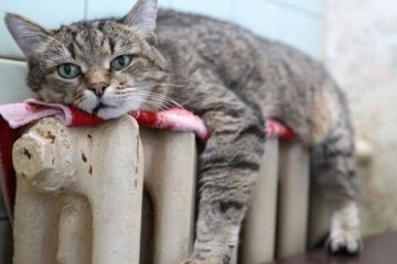 Регіони почнуть опалювальний сезон у різний час