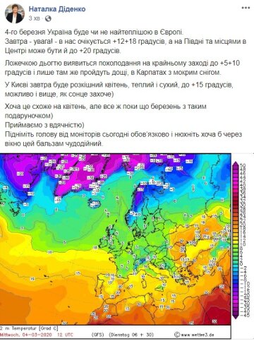 Скріншот поста Діденко