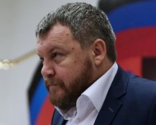 Пургіна звільнили з парламенту "ДНР"