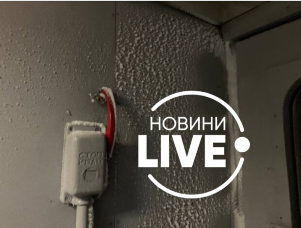 Фото: "Новини live"