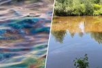 Водойми на Київщині