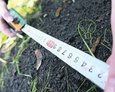Українці на початку жовтня отримають доступ до земельного кадастру