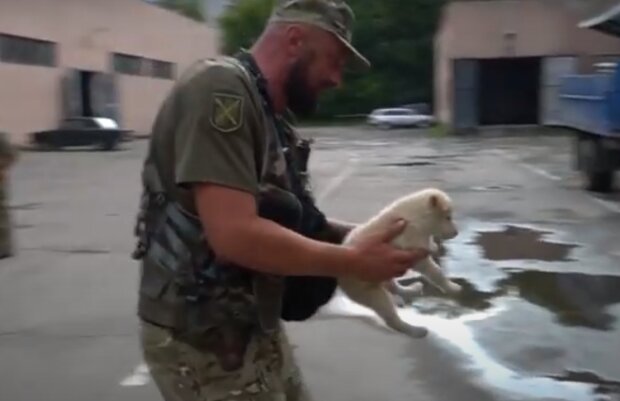 Щенок с Донбасса нашел дом на Тернопольщине – военные привезли подарок ребенку