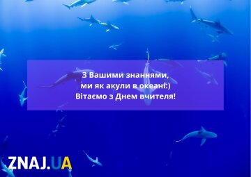 День учителя: поздравления в открытках, стихах и прозе