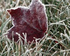 Готовимся к холодам: синоптики пообещали заморозки