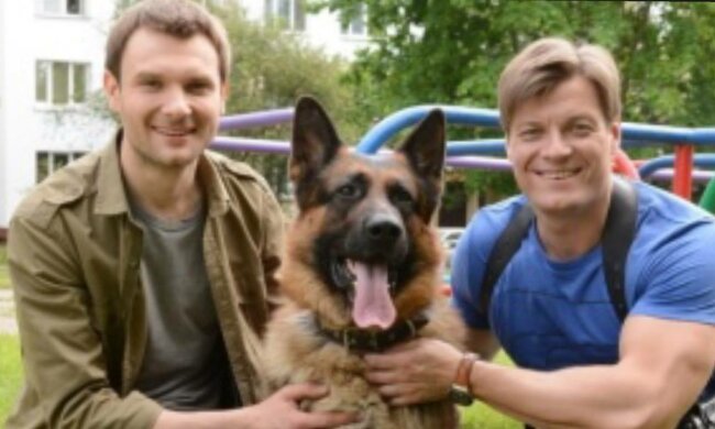 Повернення Мухтара, фото: вільне джерело