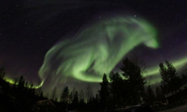 Ваша собака буде гавкати північним сяйвом