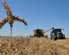 Украина будет наращивать экспорт в ЕС сельскохозяйственной продукции