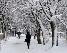 Шматок будинку впав на львів'янку