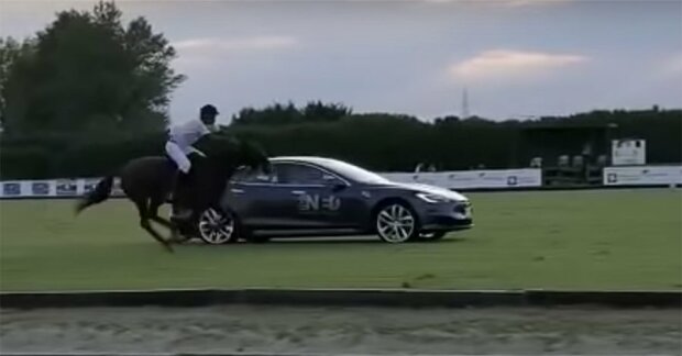 Tesla в гонке с лошадью, скриншот из видео