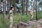Скарб монет Стародавнього Риму під Житомиром, фото: olevsk.online