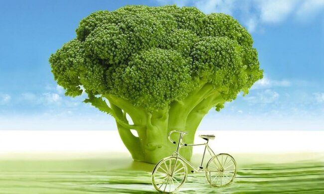 Памятка курильщика: как очистить организм от никотина