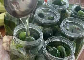 Соління огірків, скріншот: instagram.com/s_bezrukov