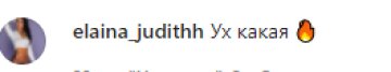Скріншот з коментарів, instagram.com/__l_i_l_i_a___/