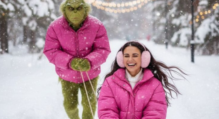 Гороскоп, зима, Гринч, изображение: Pinterest