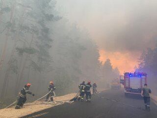 лісова пожежа на Луганщині, фото:  ГСЧС