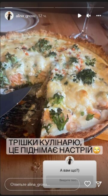 Увлечение Алины Гросу. Фото: скрин instagram stories