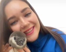 Оля і пінгвіни, скріншот: TikTok