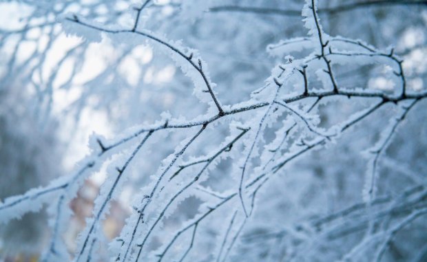 Погода в Харькове на 22 февраля: зима напомнит, кто в доме хозяин