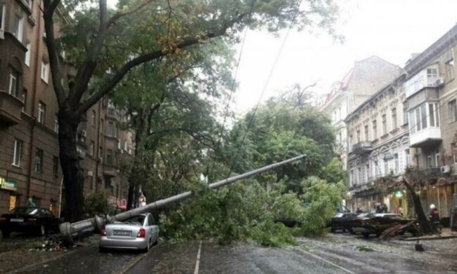Жуткая непогода обрушилась на Одессу: поваленные деревья, разгромленные авто