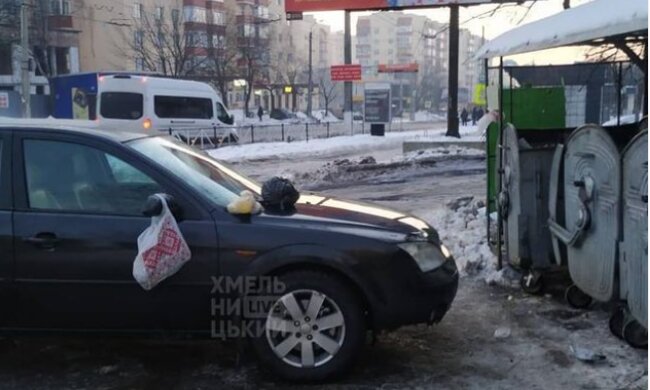 У Хмельницькому епічно покарали оленя парковки: навалили купу на капоті