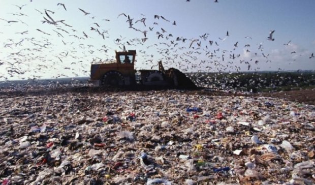 Экологи будут протестовать против мусорного полигона в Севастополе