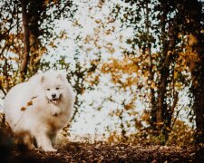 Анекдоти на 25 жовтня зроблять вас найщасливішою людиною