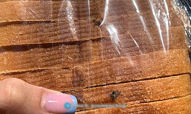 Муха в батоні, фото з Telegram-каналу