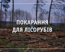 Українських лісорубів жорстоко розстріляли, за діло