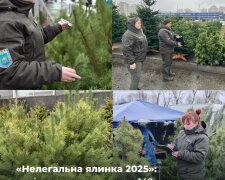 "Нелегальна ялинка 2025": екоінспектори виявили 142 порушення