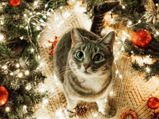 Гороскоп, изображение: Pinterest