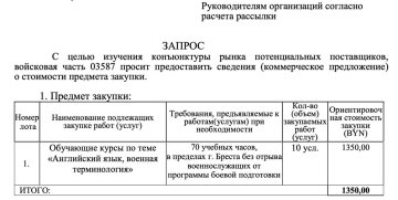 Скріншот заявки. Фото: telegram