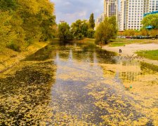 Отруйні озера по всьому місту травлять киян: список смердючих водойм