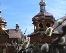 Вербное воскресенье, скриншот с видео