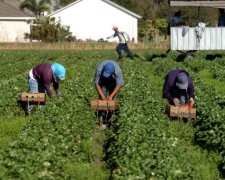Украинских заробитчан в Польше ждут сюрпризы