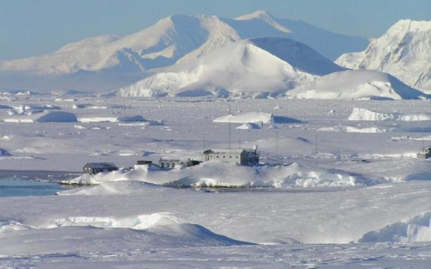 В Антарктике проведут интернет
